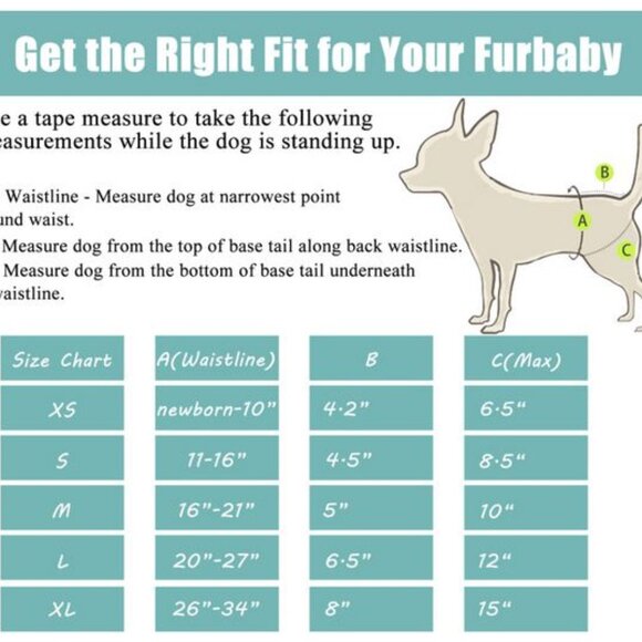CuteBone Doggie Diapers for Female XS - Picture 7 of 12